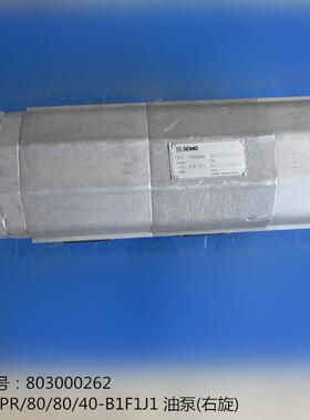 供应徐工吊车配件803000262 CB-KPR/80/80/40-B1F1J1油泵(右旋)