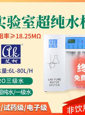 光伏能源检测超纯水系统实验室超纯水机能源分析80L反渗透设备