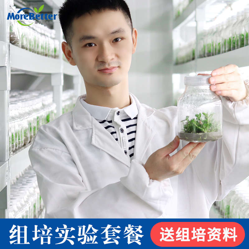 MS组培组培爱好者实验套餐含药品及简单耗材送资料