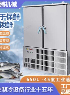 佛山厂家食品速冻机商用冰箱包子冰柜低温海参插盘速冻柜急冻冷柜