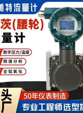 大口径气体罗茨流量计JLQ-DN150/JLQ-DN200气体腰轮流量计
