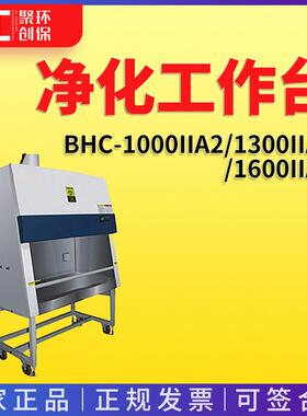 负压式净化工作台BHC-1000IIA2/100IIA2/1600IIA2 洁净工作台