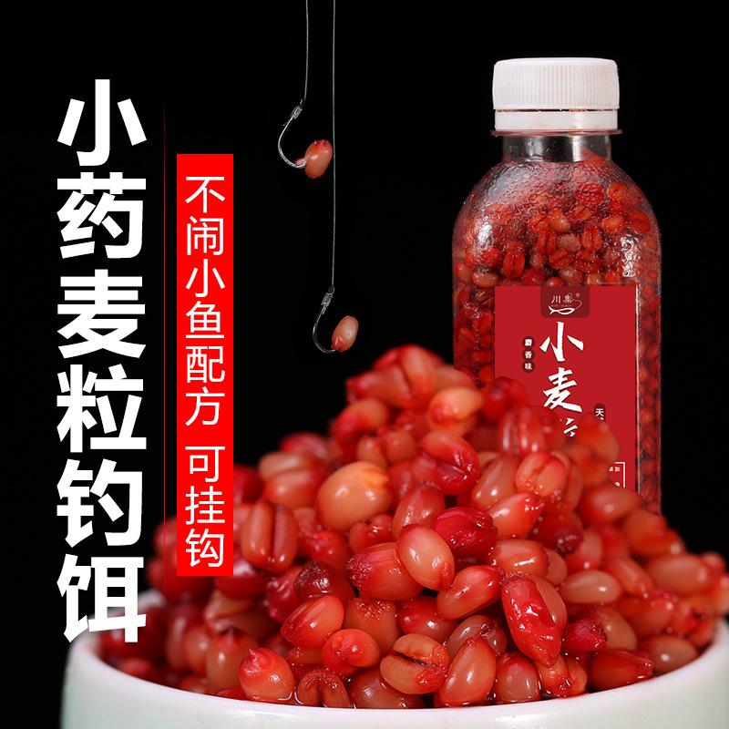 钓鱼麦粒饵料野钓鲫鱼鲤鱼台钓饵