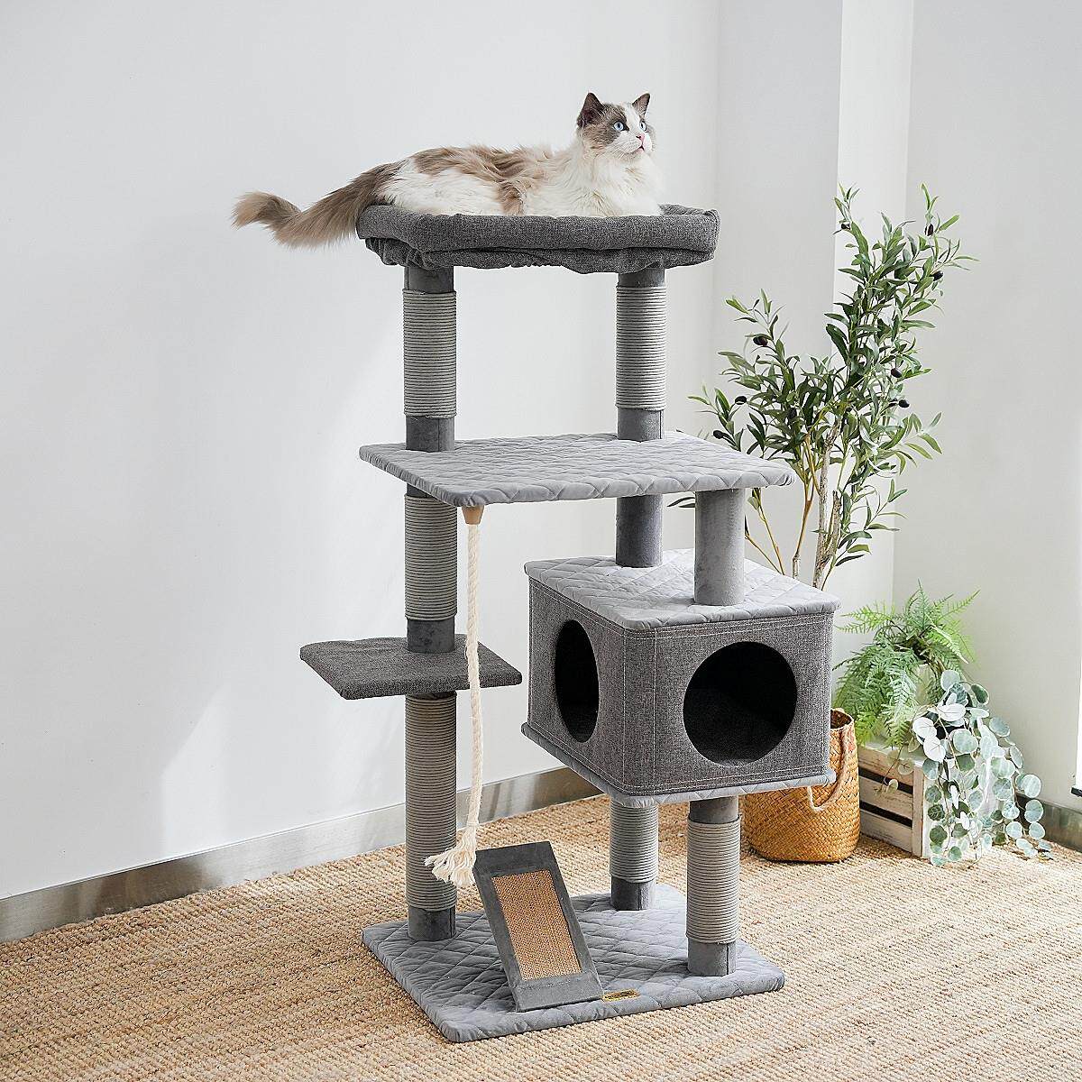 肥猫福音布偶缅因猫窝猫树猫爬架一体好打理猫抓板剑麻可拆洗豪华
