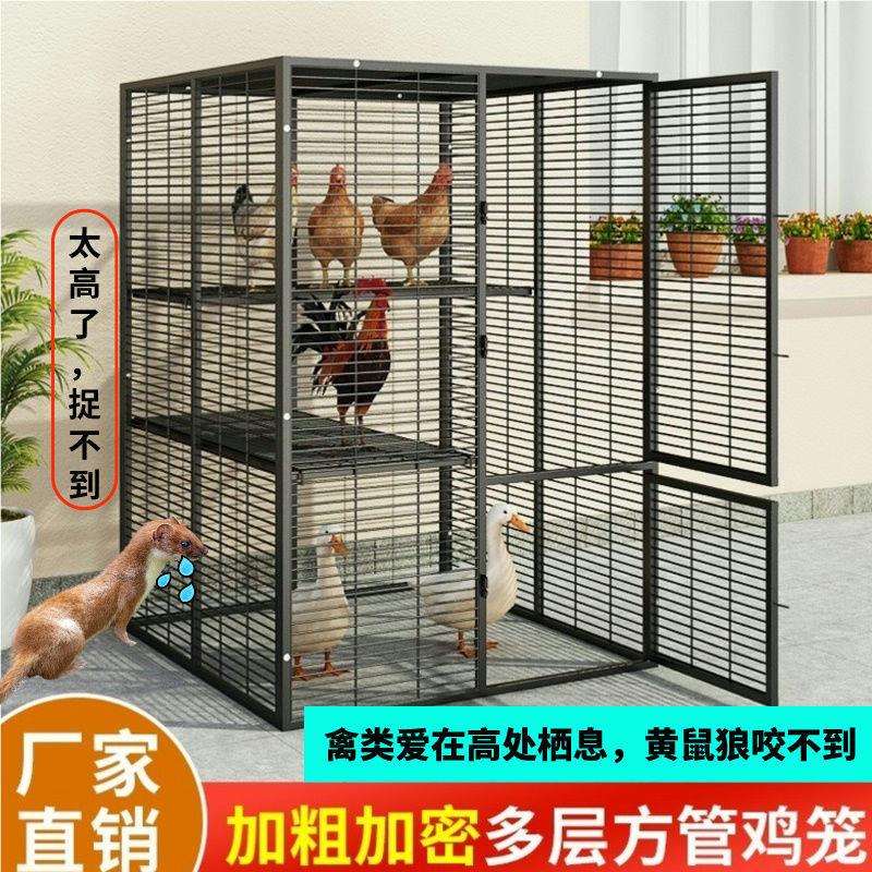 鸡笼子家用加粗大号养殖笼折叠鸭笼鹅笼狗笼自动滚蛋鸡笼厂家直发
