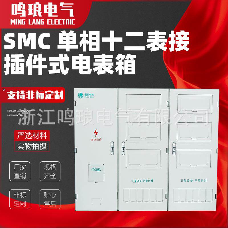 直销PC+ABS国网南网非金属SMC 单相十二表接插件式电表箱