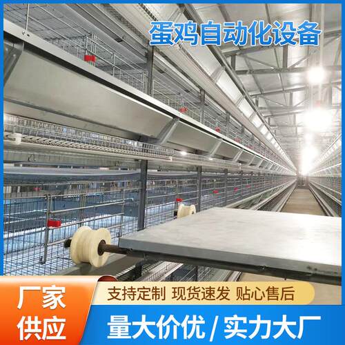 工厂直销大层叠蛋鸡笼养鸡设备自动化养殖笼具新型热镀锌鸡笼子