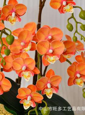 爆款假物花双叉蝴蝶仿兰小盆景创意摆KTO件厂造家现货人植真盆栽