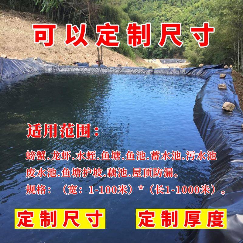 鱼防渗膜水池鱼防水帆布池塘加厚养殖蓄水储池塑料膜防雨F5M67HH8