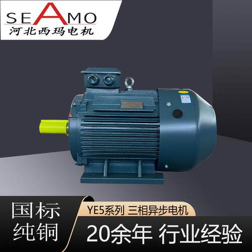 电机定制生产YE5-2极3-355w超高效三相异步电动机