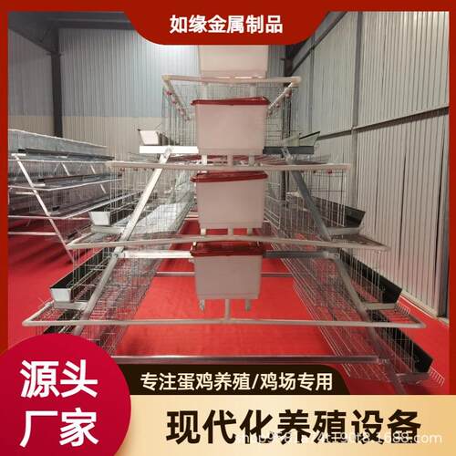 绿槽阶梯式蛋鸡笼四层五门鸡蛋防破损养殖笼鸡舍立体多层蛋鸡笼