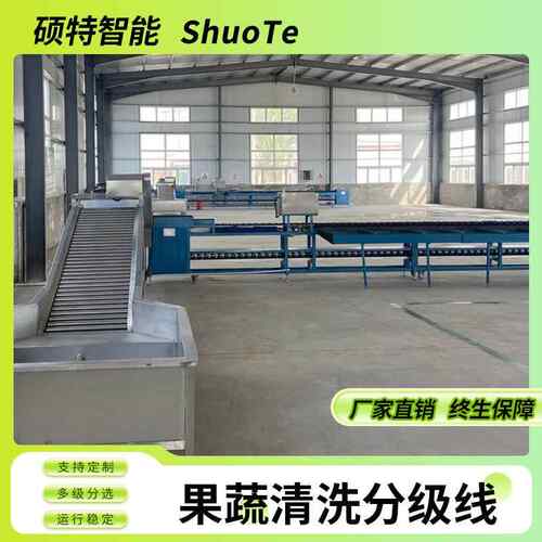 丑柑不知火水果分选机 桔子橙子重量选果机 火龙果无损自动分拣机