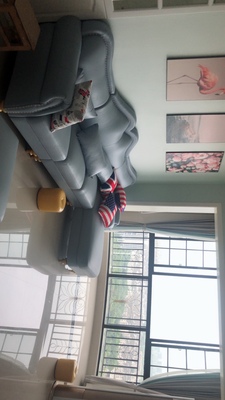 栢菲莱沙发怎么样极度喜欢感受反馈