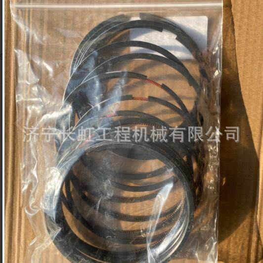 现货供应30吨位挖掘机发动机配件：6754-31-2010t活塞环