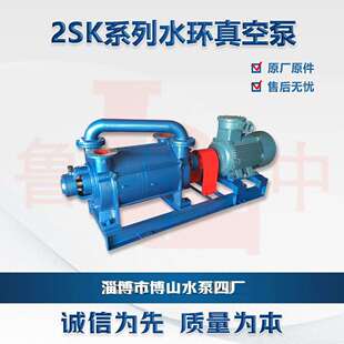 12型水环真空泵制药化工气体输送高真空度抽除机组鲁中牌 2SK