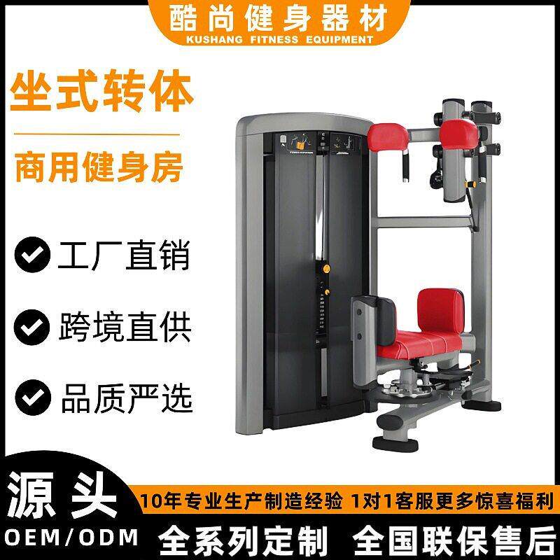 坐式转体健身房商用健身器材大全助力引体向上力量训练器械全套