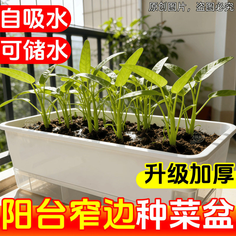 长方形塑料花盆阳台种菜蔬菜花瓶
