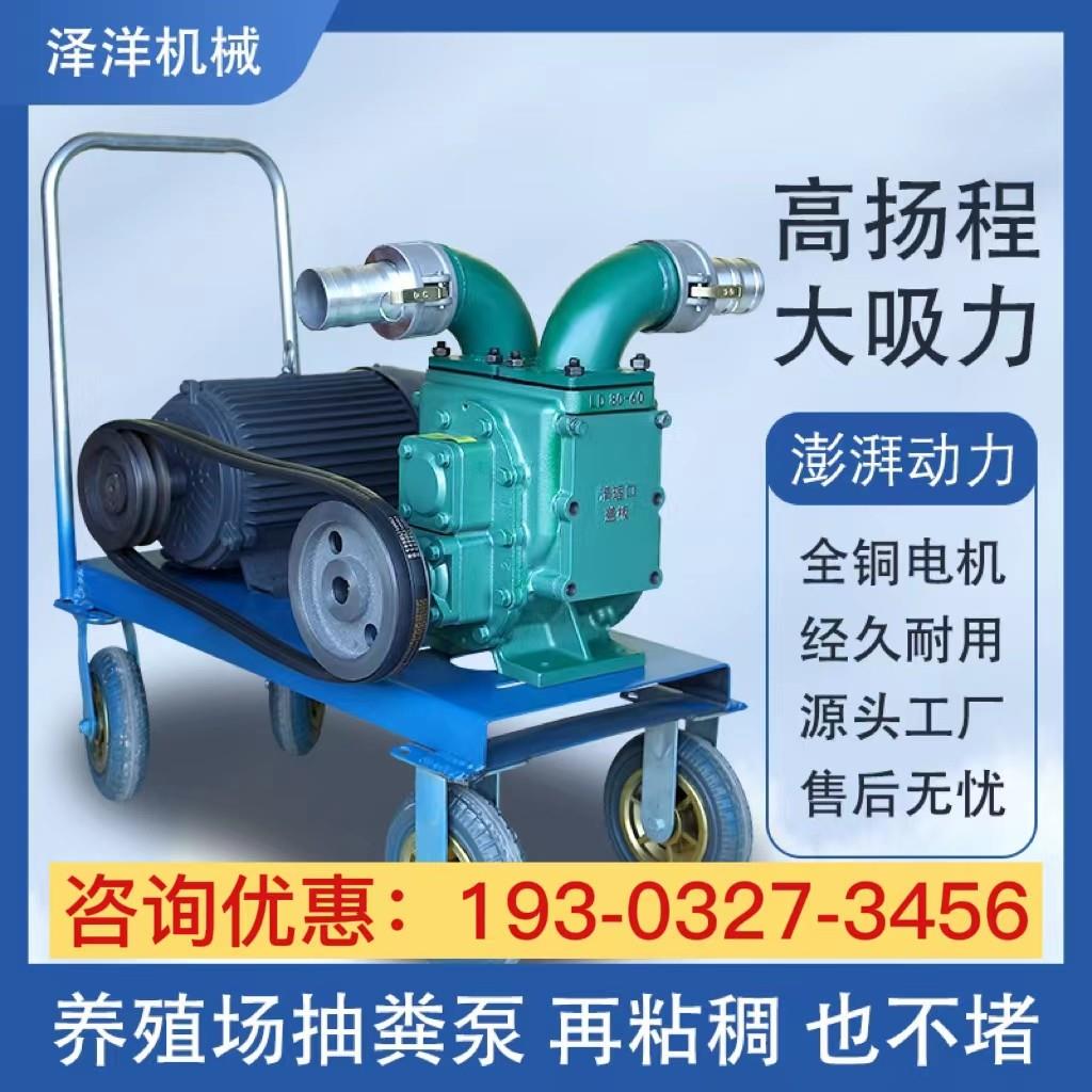泽洋抽粪泵养殖场专用无堵塞强力吸猪粪机化粪池排污水泵抽粪泥浆