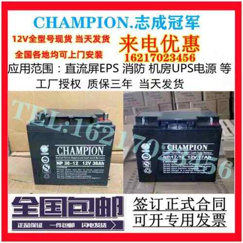 CHAMPION志成冠军UPS蓄电池NP100-12/12v7a17a24a38a65a100a120ah