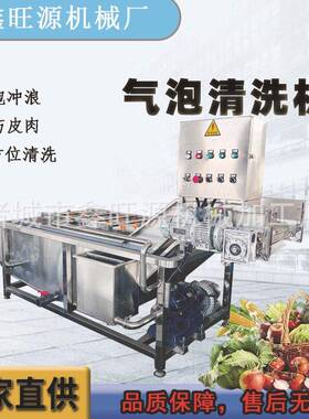 定制生姜压喷淋清洗设备洗菌菇鼓泡清洗机翻滚气泡洗菜机