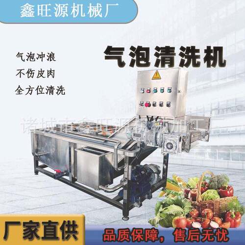 定制生姜压喷淋清洗设备洗菌菇鼓泡清洗机翻滚气泡洗菜机
