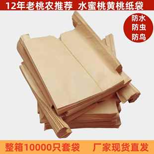 阳山水桃子专用套袋果袋桃子奉化桃水果套袋防水防虫整箱10000只