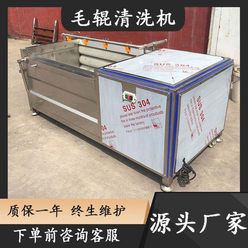 供应小型槟榔毛刷式清洗机洋芋自动削皮机多功能地栗毛辊去皮设备