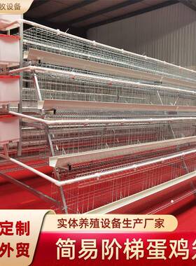 四层四门阶梯蛋鸡笼白石槽镀锌鸡笼家禽工厂阶梯养殖蛋鸡笼现货