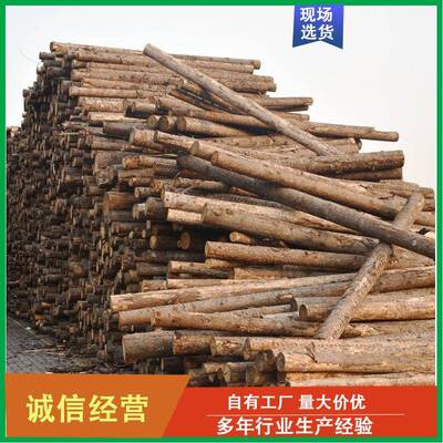 供应柳杉木桩削尖木桩景观木桩工地河道打桩木护坡护堤工程