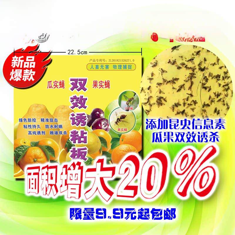 针蜂果蝇诱粘剂引诱柑桔荔枝苦瓜葡萄柚没毒贴虫胶瓜果实蝇诱捕