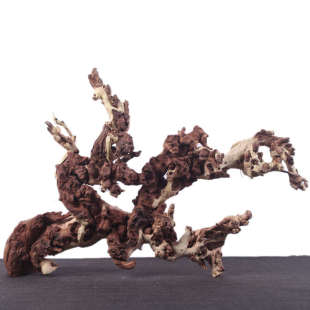 鱼缸造景装饰沉木天然枯木树根摆件乌龟躲避紫柚木树桩草缸南美缸