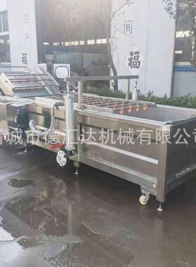 气泡清洗机酱腌菜清洗去盐设竹笋清洗机设备不锈钢果蔬喷淋清洗机