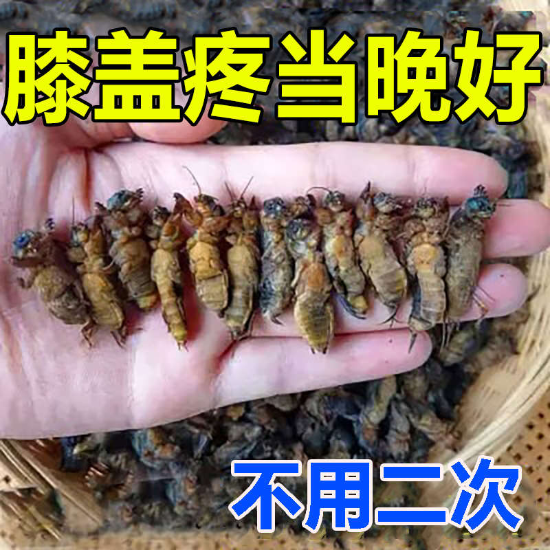 膝关节疼痛关节积水积液滑膜炎骨刺腿疼半月板磨损治膝盖疼痛膏LM