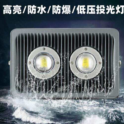 低压投光灯户外防水36直流50w100w200w隧道仓库灯船用24v照明灯