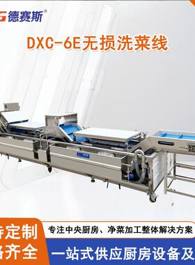 净菜加工设备无损洗菜机全304不锈钢果蔬清洗机