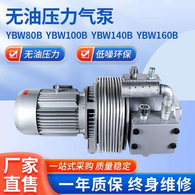 YBW...B单真空压力气泵小型便携式无油旋片真空泵气体传输泵