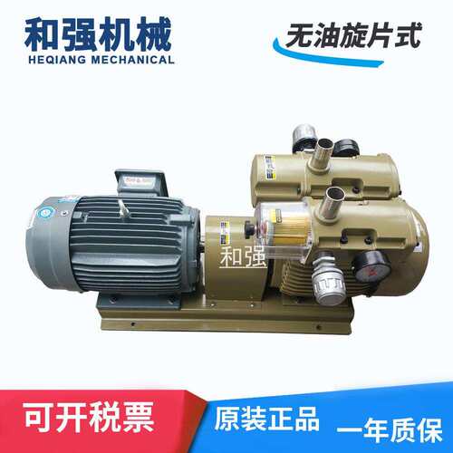 旋片式60立方真空泵 HZB60-SS-V-03 单吸三相电压气泵 接口Rc1