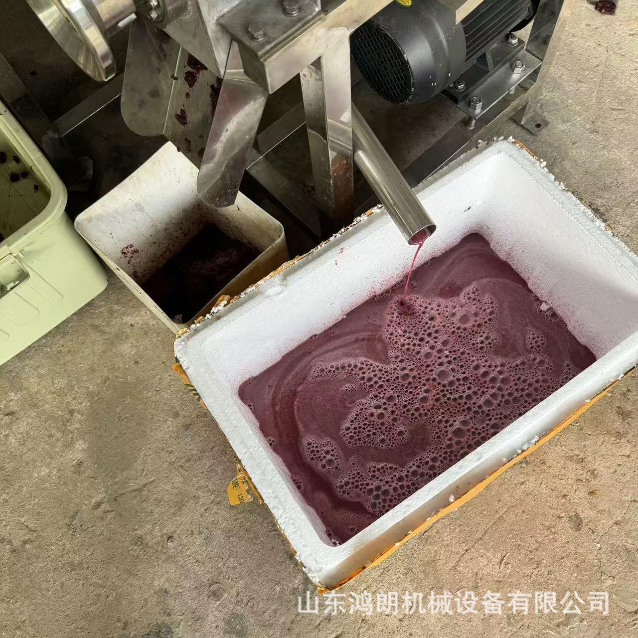 红薯挤压打泥机煮熟红枣去核榨汁机 压榨新鲜水果榨汁机