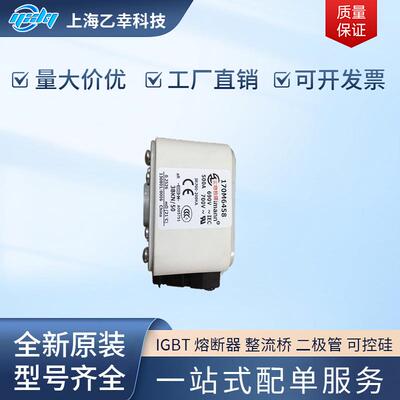 巴斯曼熔断器 170M6426 170M6435 170M6458 170M6459 170M6460