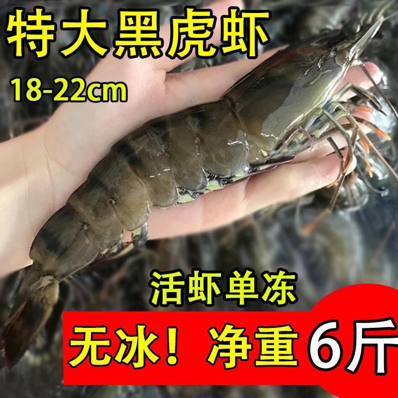 黑虎虾鲜活超大老虎虾冷冻斑节虾大无冰九节虾冷冻海虾基围虾