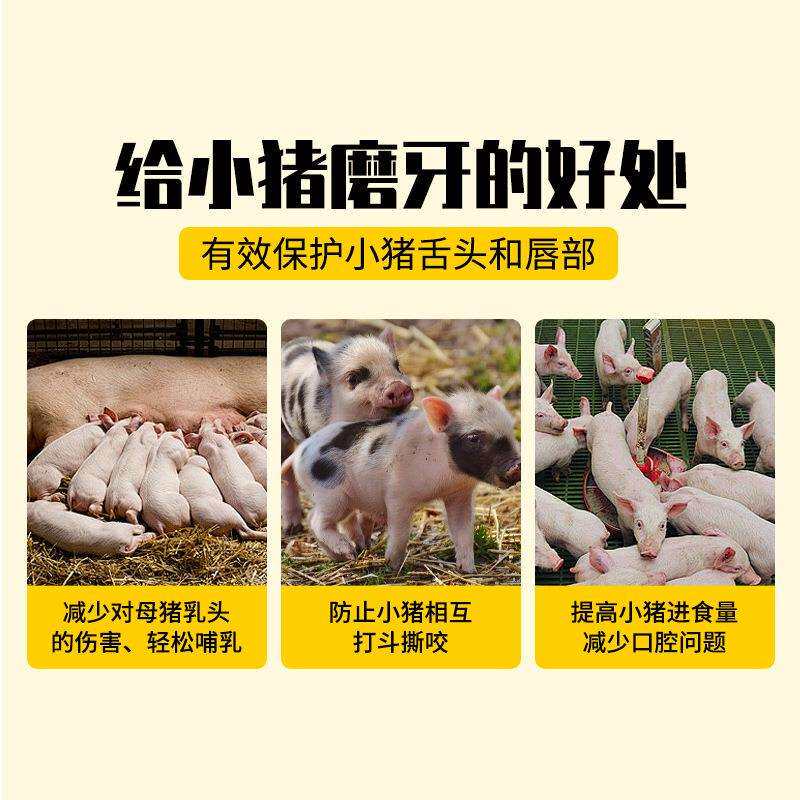 友牧 仔猪电动磨牙器充电式磨牙器动物剪牙器宠物狗小猪修牙器