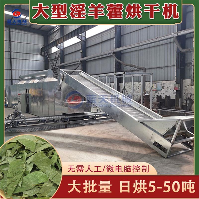 大型淫羊藿烘干机带式仙灵脾三枝九叶草干燥机淫羊藿根烘干设备