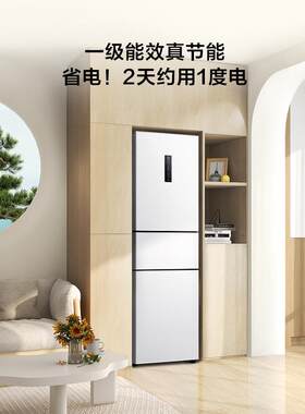 T.CL R261V3-C 芭蕾白261升电脑三门风冷无霜一级变频家用电冰箱