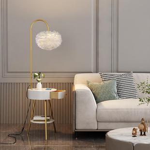 境网羽毛落地灯卧抽室床头柜落地式 一体ins红跨客厅343房间轻奢带