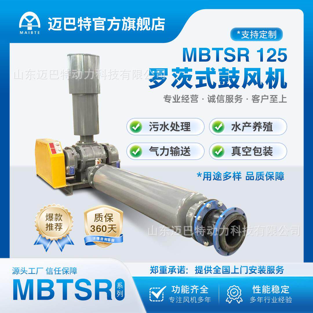 MBTSR125三叶罗茨鼓风机颗粒输送污水处理增氧曝气脱硫脱硝