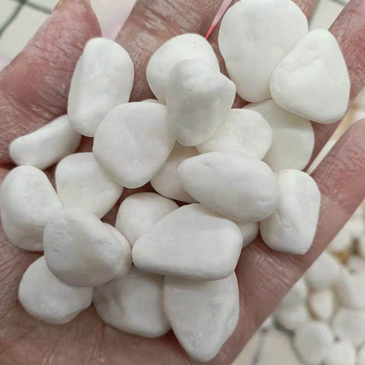 白石子水磨地用鹅卵石造景水磨石白色鹅卵石装饰用白碎石卵石