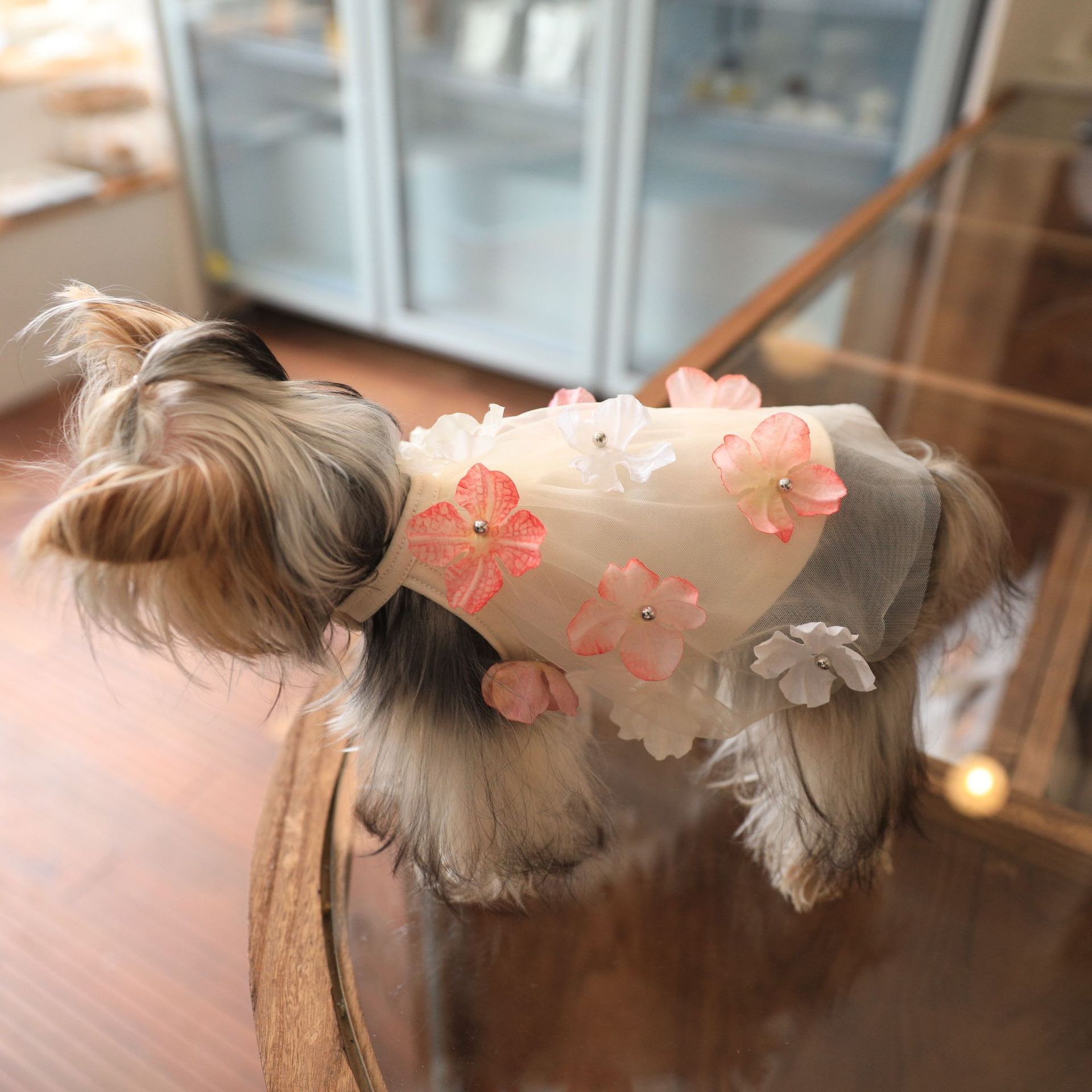 吊带裙狗狗仙女花朵可爱清凉雨衣