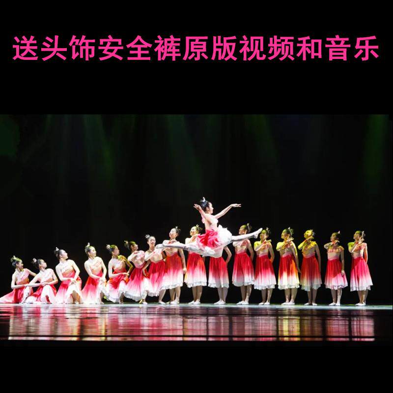 新款小荷风采歌颂祖国爱国舞蹈服女童中小学生心中的花儿演出服装