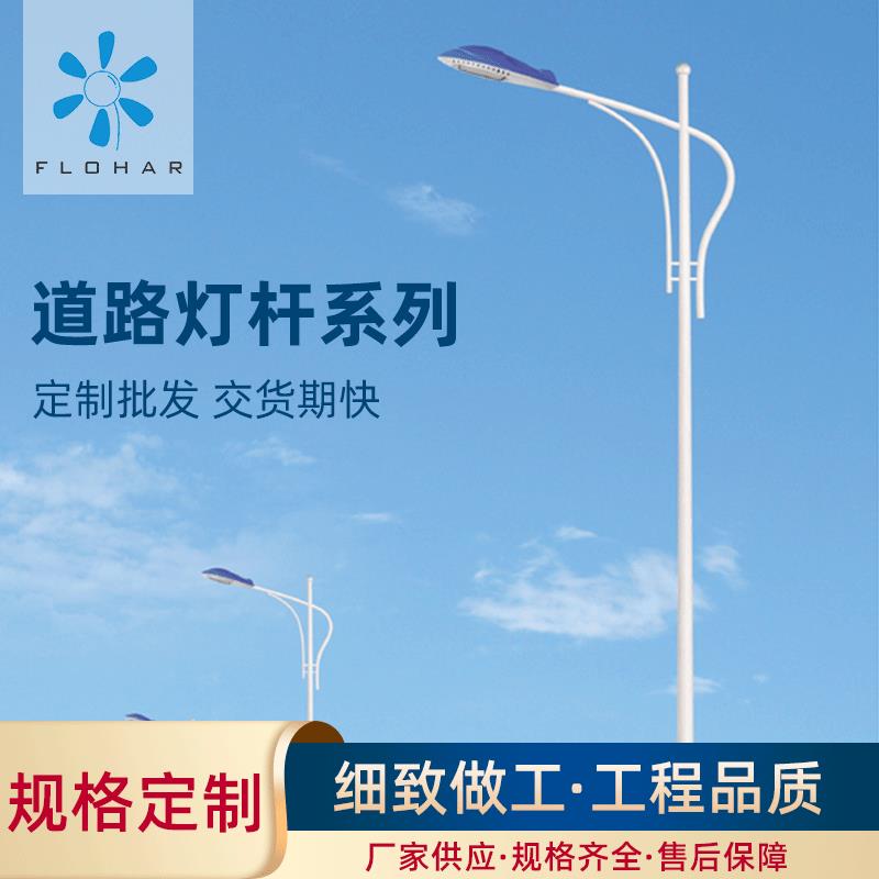 厂家供应道路灯杆道路照灯杆太阳能LED路灯杆高速户外市电路灯