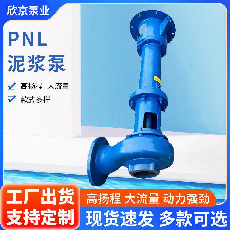 PNL泥浆泵立式铸铁液下泵离心泵污水泵抽粪淤泥泵打井勘探液下泵
